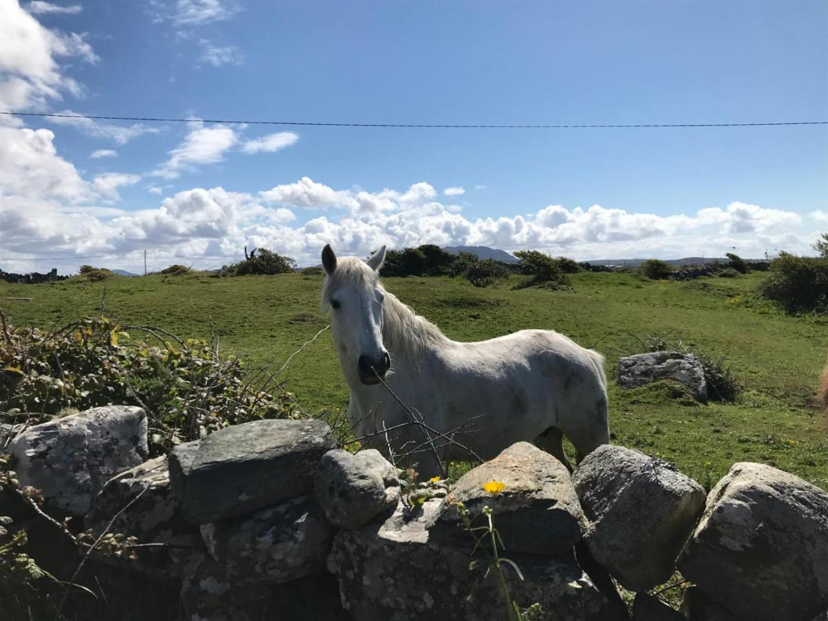 Kilronan Cottage Ballyconneely Eksteriør billede
